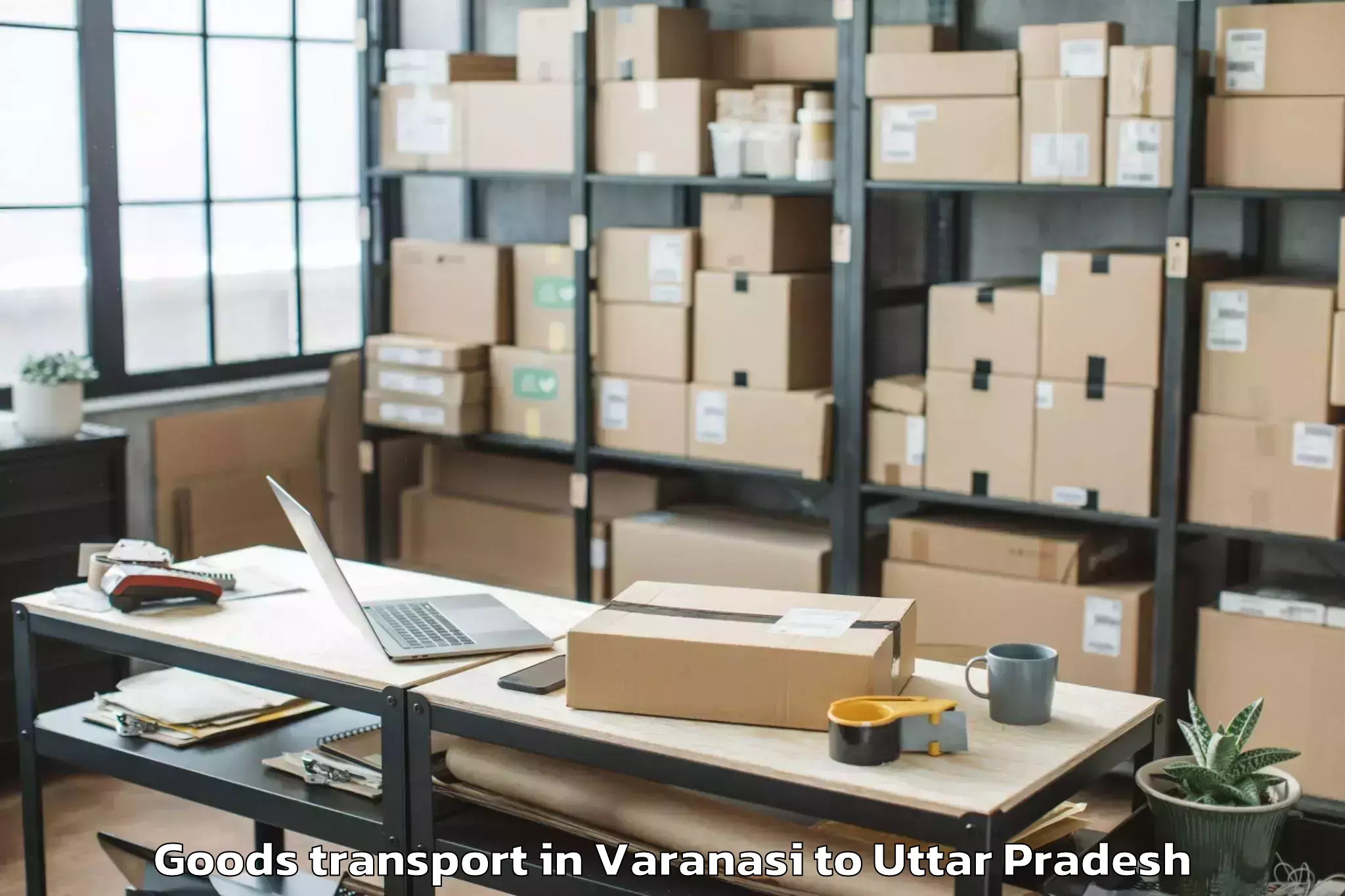 Expert Varanasi to Sasni Goods Transport